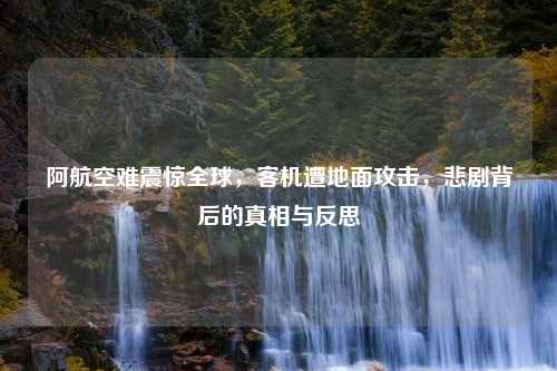 阿航空难震惊全球，客机遭地面攻击，悲剧背后的真相与反思