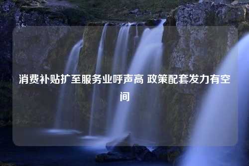 消费补贴扩至服务业呼声高 政策配套发力有空间