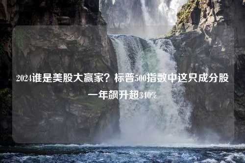 2024谁是美股大赢家？标普500指数中这只成分股一年飙升超340%