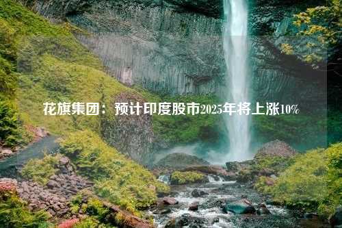 花旗集团：预计印度股市2025年将上涨10%