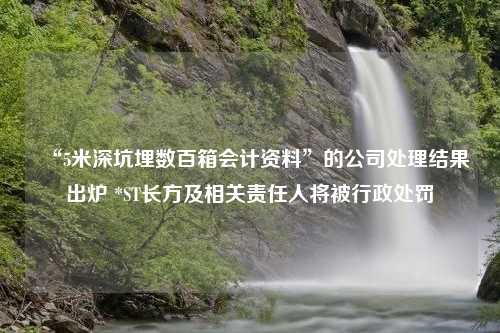 “5米深坑埋数百箱会计资料”的公司处理结果出炉 *ST长方及相关责任人将被行政处罚