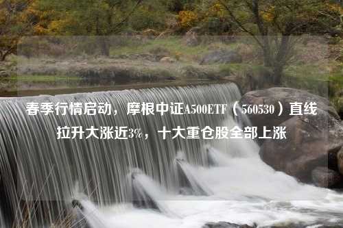 春季行情启动，摩根中证A500ETF（560530）直线拉升大涨近3%，十大重仓股全部上涨