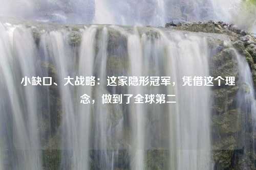 小缺口、大战略：这家隐形冠军，凭借这个理念，做到了全球第二