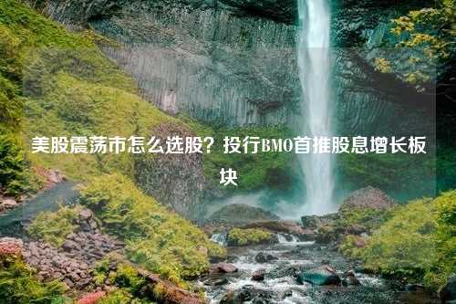 美股震荡市怎么选股？投行BMO首推股息增长板块