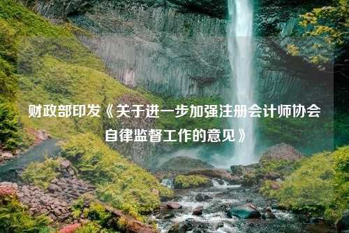 财政部印发《关于进一步加强注册会计师协会自律监督工作的意见》