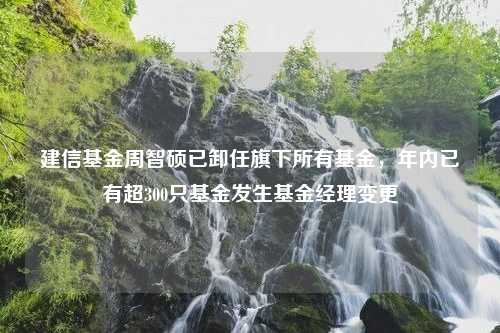 建信基金周智硕已卸任旗下所有基金，年内已有超300只基金发生基金经理变更