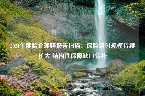 2024年度险企理赔报告扫描：保险赔付规模持续扩大 结构性保障缺口待补