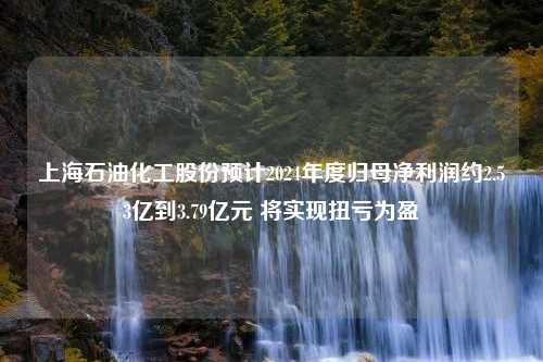 上海石油化工股份预计2024年度归母净利润约2.53亿到3.79亿元 将实现扭亏为盈