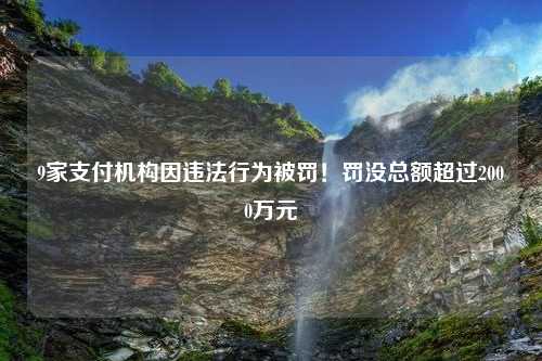 9家支付机构因违法行为被罚！罚没总额超过2000万元