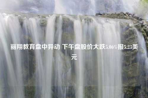 丽翔教育盘中异动 下午盘股价大跌5.06%报5.23美元