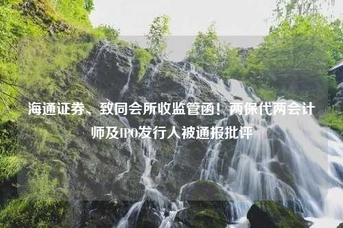 海通证券、致同会所收监管函！两保代两会计师及IPO发行人被通报批评