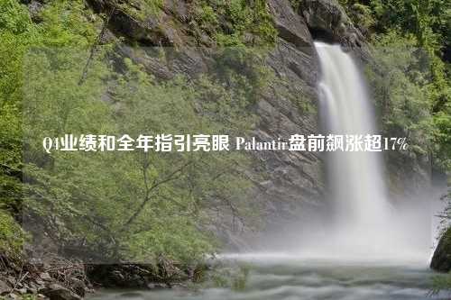 Q4业绩和全年指引亮眼 Palantir盘前飙涨超17%