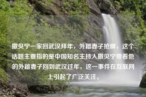 撒贝宁一家回武汉拜年，外籍妻子抢眼，这个话题主要指的是中国知名主持人撒贝宁带着他的外籍妻子回到武汉过年，这一事件在互联网上引起了广泛关注。