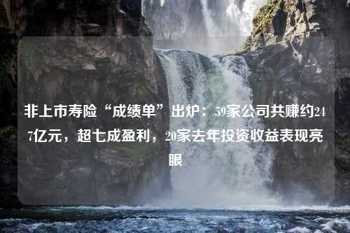 非上市寿险“成绩单”出炉：59家公司共赚约247亿元，超七成盈利，20家去年投资收益表现亮眼