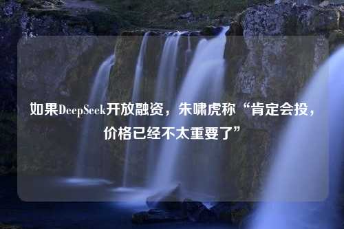 如果DeepSeek开放融资，朱啸虎称“肯定会投，价格已经不太重要了”