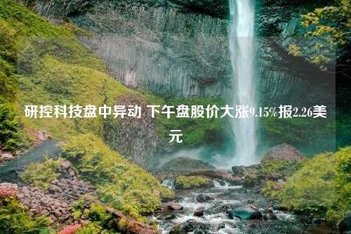 研控科技盘中异动 下午盘股价大涨9.15%报2.26美元