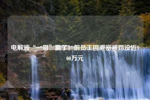 电解液“一哥”赢了！前员工因泄密被罚没近900万元