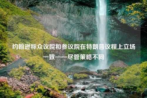 约翰逊称众议院和参议院在特朗普议程上立场一致——尽管策略不同