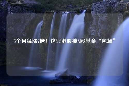 5个月猛涨7倍！这只港股被A股基金“包场”