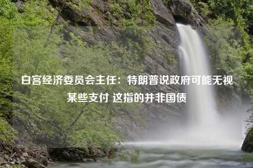 白宫经济委员会主任：特朗普说政府可能无视某些支付 这指的并非国债