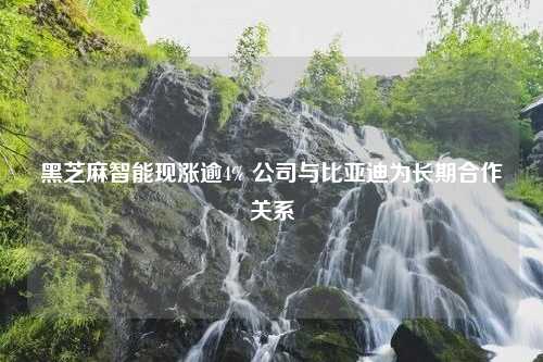 黑芝麻智能现涨逾4% 公司与比亚迪为长期合作关系