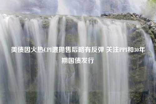 美债因火热CPI遭抛售后略有反弹 关注PPI和30年期国债发行