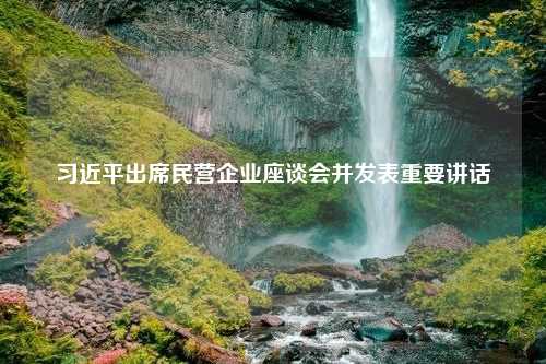 习近平出席民营企业座谈会并发表重要讲话