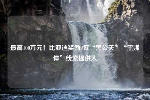 最高100万元！比亚迪奖励9位“黑公关”“黑媒体”线索提供人