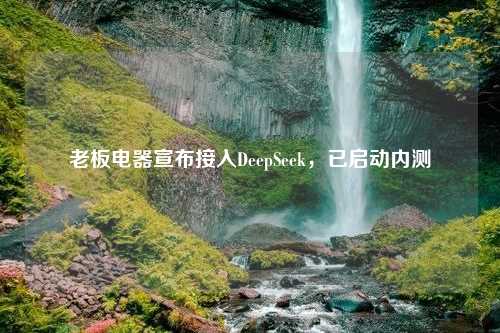 老板电器宣布接入DeepSeek，已启动内测