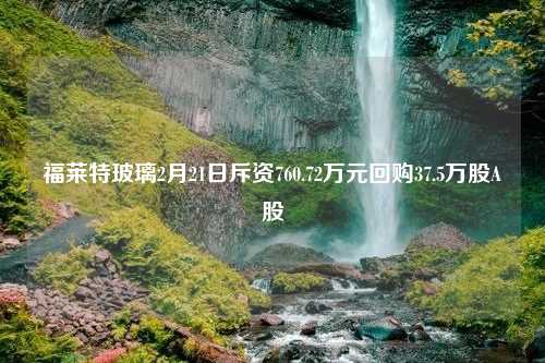 福莱特玻璃2月21日斥资760.72万元回购37.5万股A股